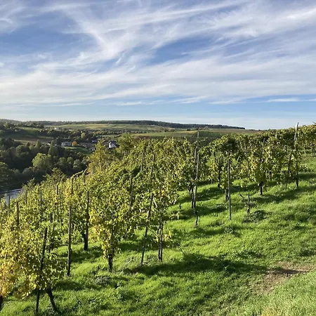 Moselle River Retreat, Cleaning Included Apartman Ediger-Eller