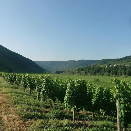 Moselle River Retreat, Cleaning Included Apartman
