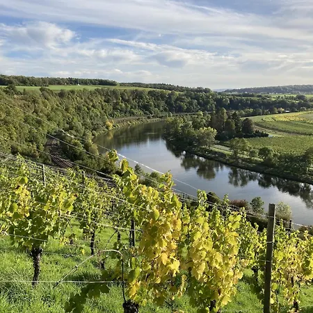 Moselle River Retreat, Cleaning Included Apartman Ediger-Eller